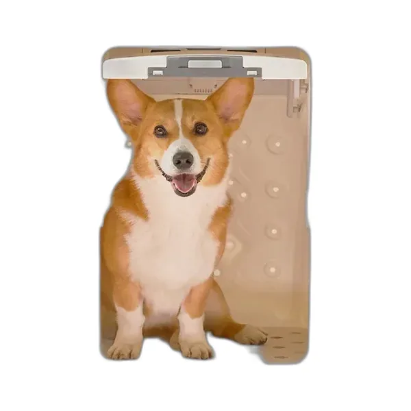 페페 펫드라이룸_DR-300PRO