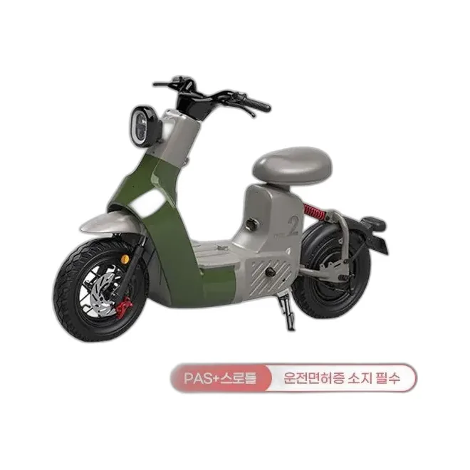 레이윙 타입1 전동스쿠터 TYPE 2_24A (그린) TYPE 2_GR