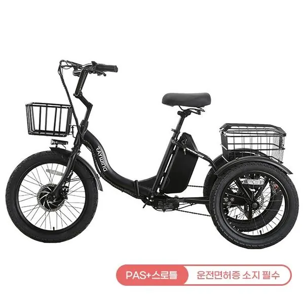 캐리 이지 전기자전거 CARRYEZ_10A (블랙)