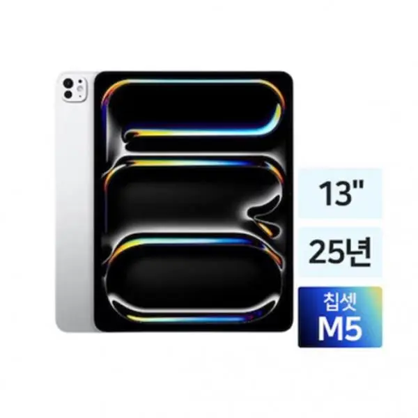 애플 iPad Pro 13 M5 1TB MDYP4KH/A